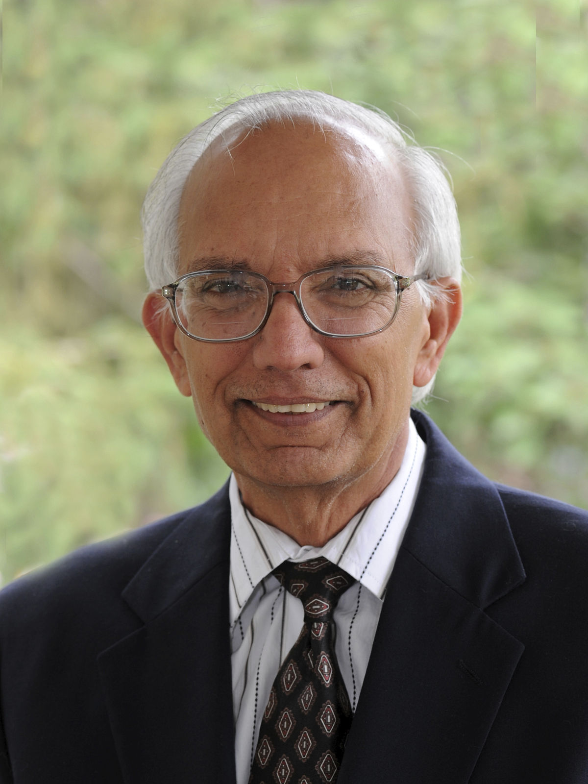 Rattan Lal portrait